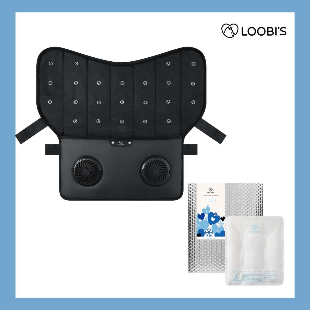 LOOBI_S_1_50d65716-ea90-4f06-8307-d6a4d30243ad.png