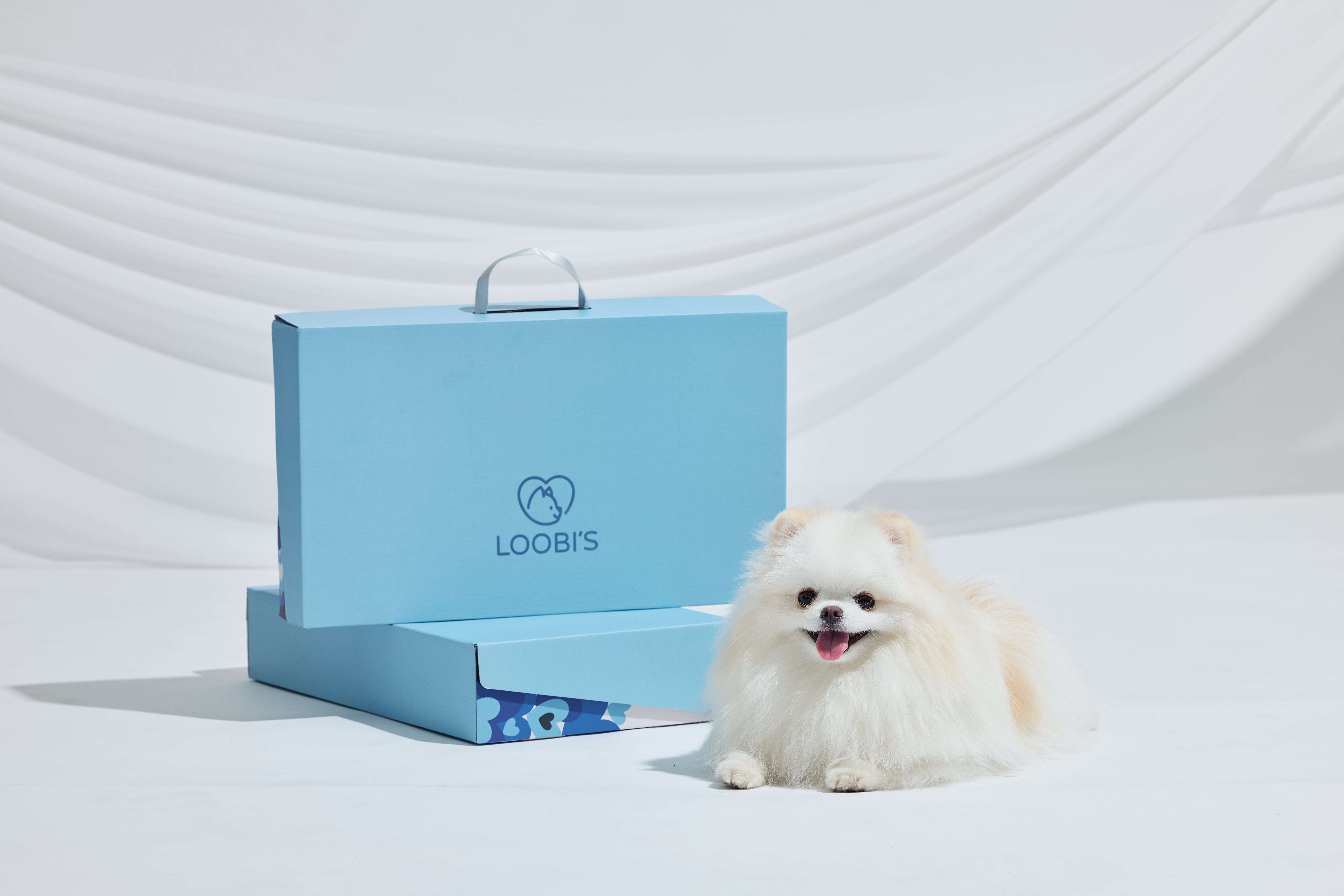 現貨]Air Breeze 2 寵物專利循環風扇墊+冰袋組– Loobi's